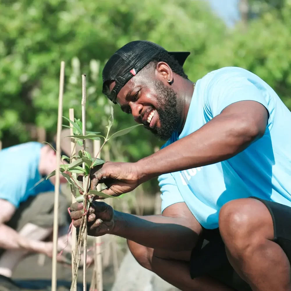 a volunteer in a blue tee shirt tending to a newly planted small tree or shrub.